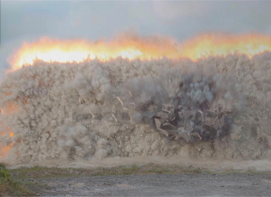 Movies4Man Compositing