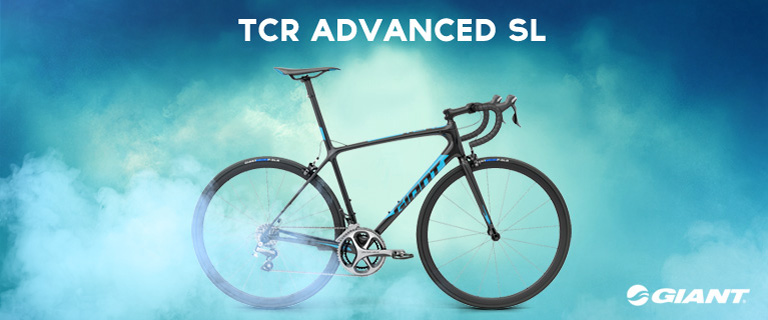 GIANT 3D Bike