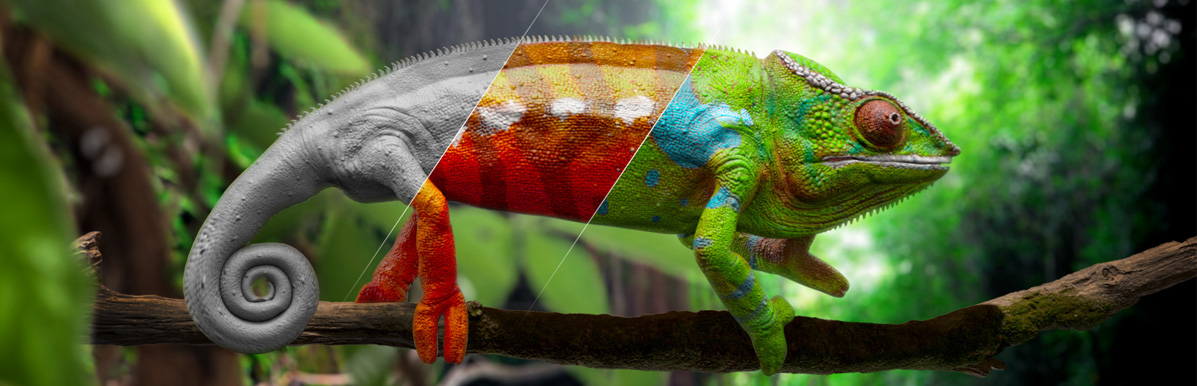 3D chameleon animation and VFX