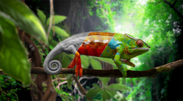 3D chameleon animation and VFX
